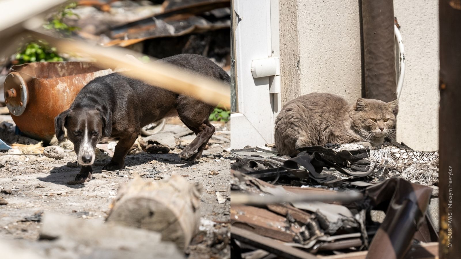 Noodhulp voor Oekraïne